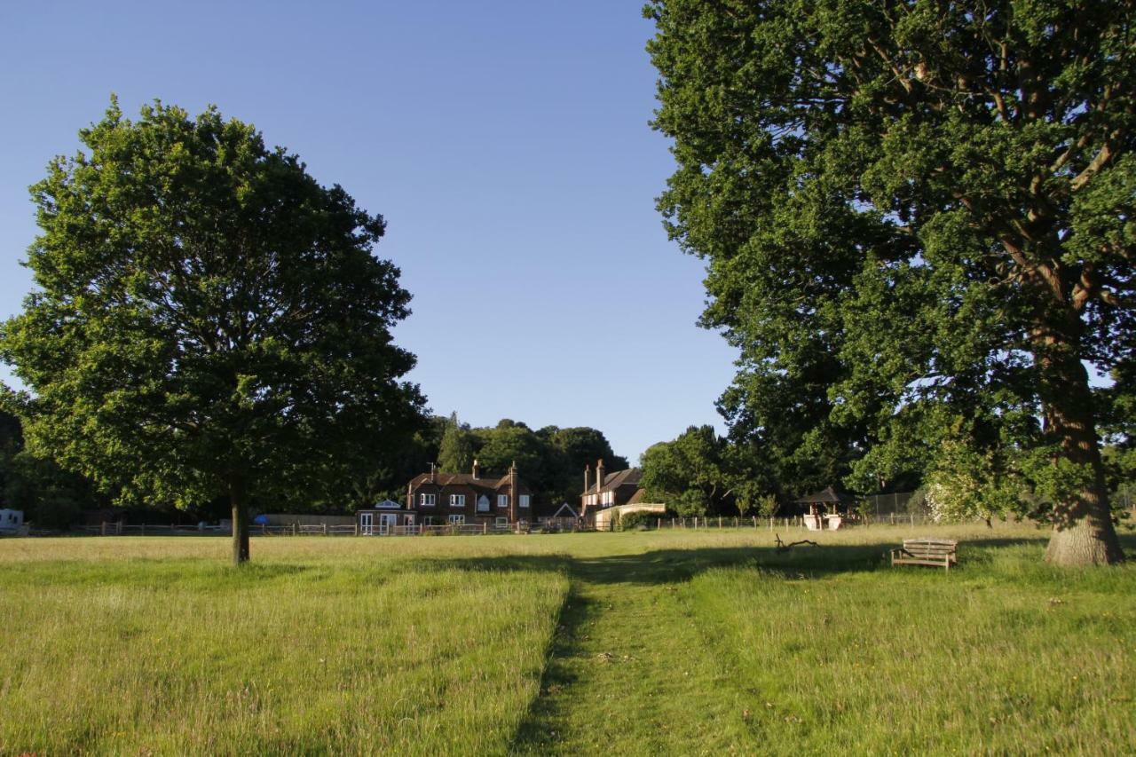 Bewl Rookery B&B Wadhurst ภายนอก รูปภาพ